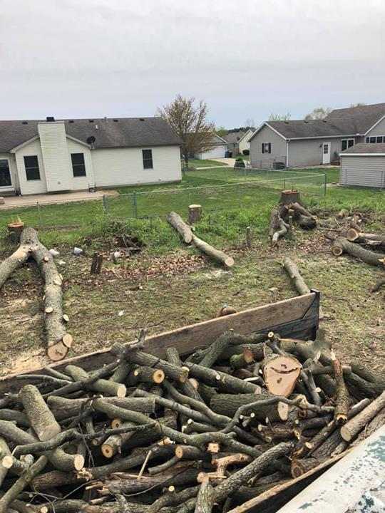 Aaron�s Perfect Cut Tree Service Tree Service Knox, IN