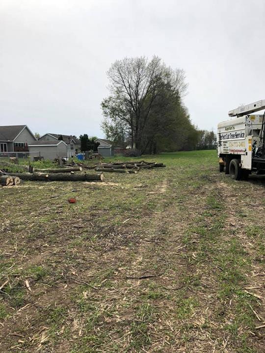 Aaron�s Perfect Cut Tree Service Tree Service Knox, IN