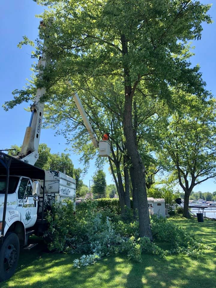 Aaron�s Perfect Cut Tree Service Knox, IN
