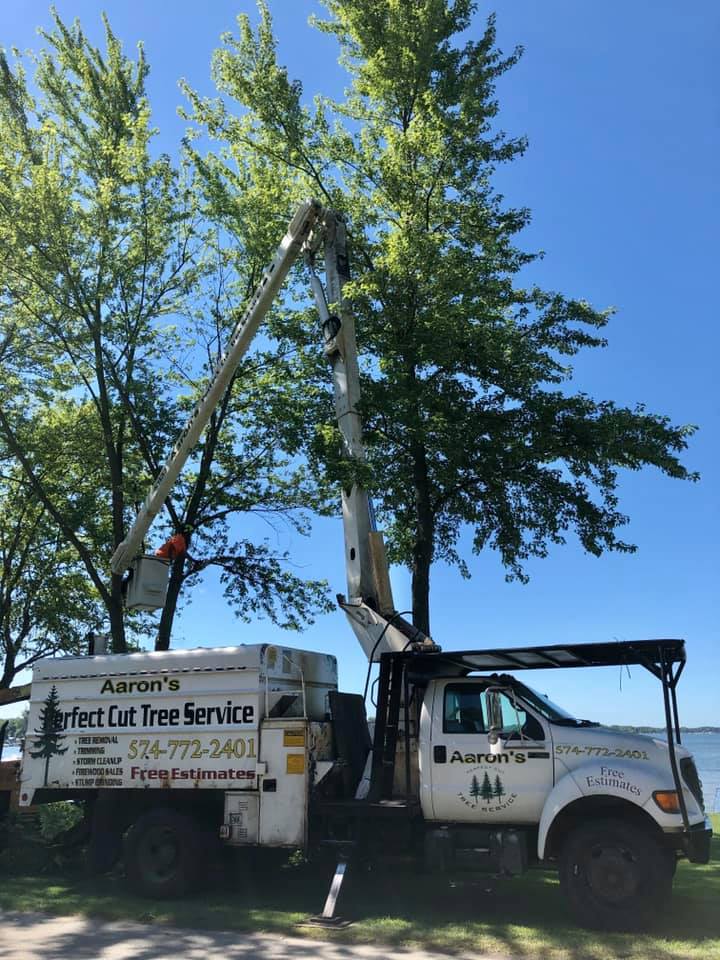 Aaron�s Perfect Cut Tree Service Knox, IN