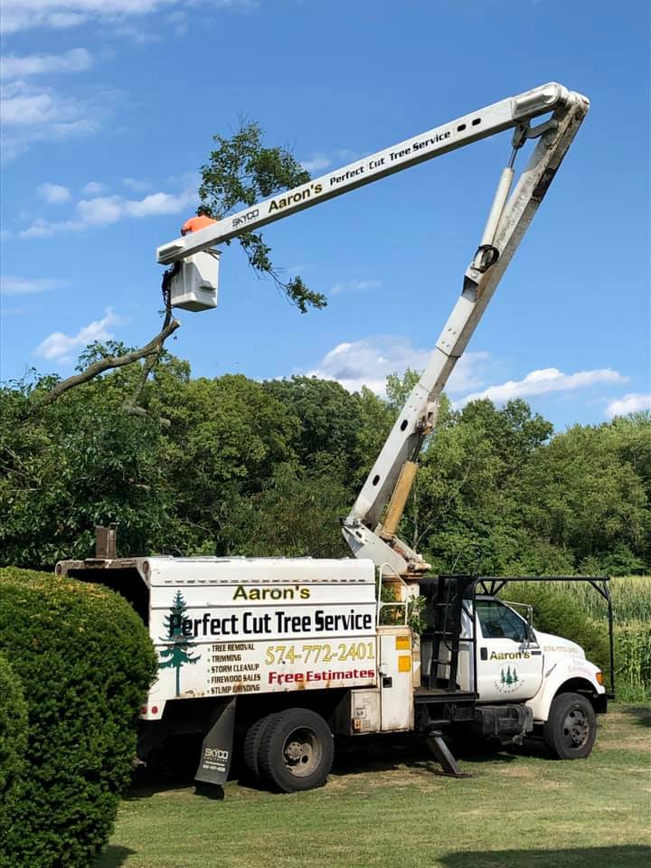 Aaron�s Perfect Cut Tree Service Knox, IN